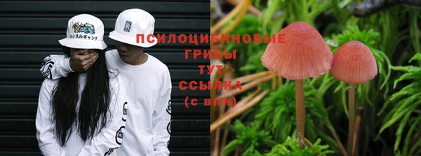 первитин Няндома