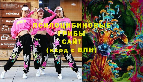 меф Нягань