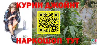 шишки Кимры