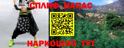 шишки Кимры