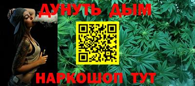 шишки Кимры