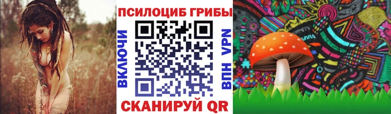 купить наркотики цена  Евпатория  Псилоцибиновые грибы MAGIC MUSHROOMS 