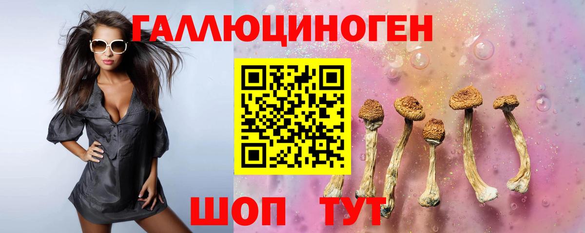 Евпатория  продажа наркотиков  Вход с VPN  Псилоцибиновые грибы мухоморы 