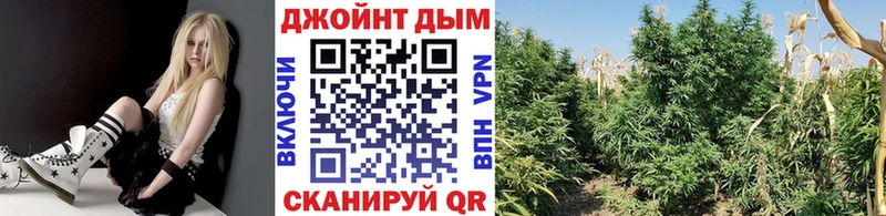Конопля план  KRAKEN ссылки  Евпатория  сколько стоит 